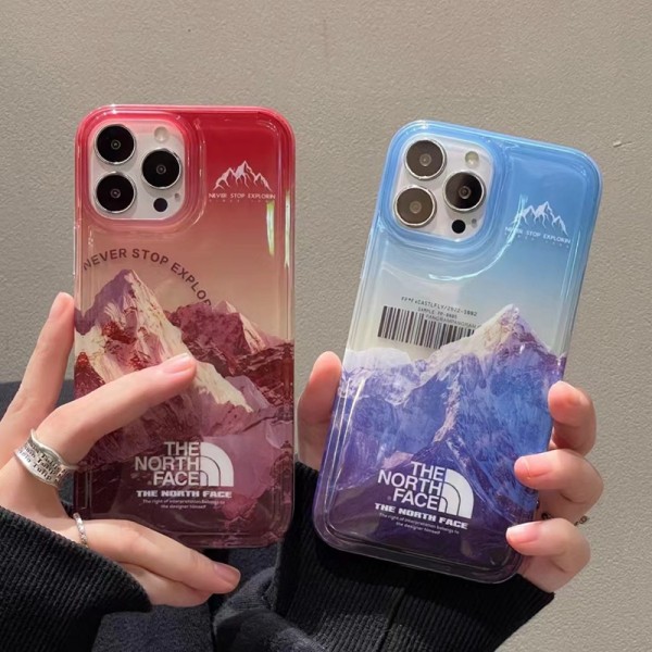 The North Face luxury leather monogram snow mountain soft elegant back case For iphone 14 Pro Max 13 12 11 cover