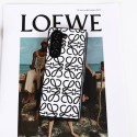 LOEWE Phone case Shell for samsung z flip 6 5 4 fold4 3 Fashion Brand Full Coversamsung  z flip 6 5 4 Case Custodia Hulle Fundaoriginal luxury fake case samsung  z flio 4 5  6 cover shell