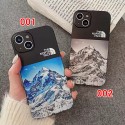 THE NORTH FACE Luxury iPhone 13/14/15 Pro max Case Back Cover coque  ledertascheiPhone13/14/15 Pro Max Wallet Flip Caseoriginal luxury fake case iphone xr xs max 15/14/12/13 pro max shellLuxury Case Back Cover schutzhülle