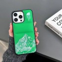 THE NORTH FACE Luxury iPhone 15 Pro max 14 Case Back Cover coque  ledertascheiPhone13/14/15 Pro Max Wallet Flip CaseFashion Brand Full Cover housseLuxury Case Back Cover schutzhülle