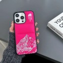 THE NORTH FACE Luxury iPhone 15 Pro max 14 Case Back Cover coque  ledertascheiPhone13/14/15 Pro Max Wallet Flip CaseFashion Brand Full Cover housseLuxury Case Back Cover schutzhülle